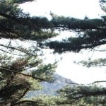 Travelling around China in 8 days
