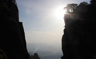 mount huangshan willow trees