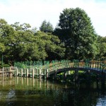 Namiseom Island, Greater Seoul – a must see for Winter Sonata fans and nature lovers