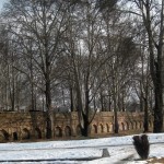 A Kashmiri Photo Story (1): Nishat Bagh in winter
