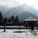 A Kashmiri Photo Story (7): Chashma Shahi Srinagar