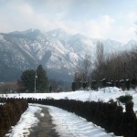 A Kashmiri Photo Story (3): Botanical Gardens Srinagar