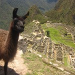 11 reasons why I never want to stop backpacking 