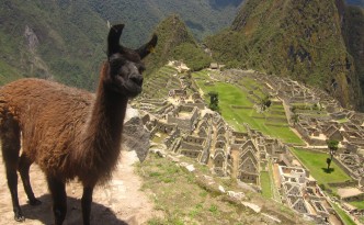 macchu picchu