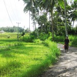 Planning an 8 day itinerary to Bali and the Gili Islands