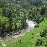 10 reasons to go trekking in Ubud Bali