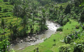 ubud bali sungai ayung