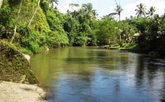 sungai ayung ubud bali