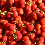 Six things to do at The Kauppatori Market in Helsinki