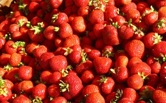 strawberries kauppatori market helsinki