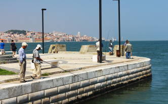 fishing cacilhas bus station