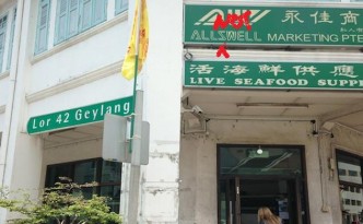 allswell-marketing oysters singapore
