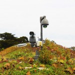 Eight reasons to visit the California Academy of Sciences (Part 2)