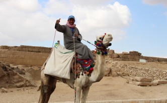 camel pyramids giza egypt scam
