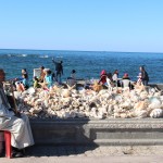 Five reasons why Alexandria in Egypt is worth a visit