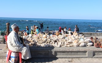 alexandria fort seashells