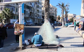 alexandria corniche egypt bus stop