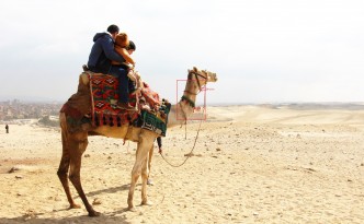 abused camel ride egypt pyramids giza