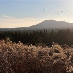 Planning a seven day itinerary to Seoul and Jeju – A nutshell