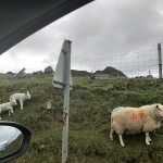 Five tips for driving and renting a car overseas