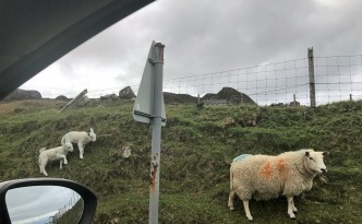 Drive through the Scottish Highlands