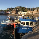Is Oban worth visiting? Four things to do in Oban