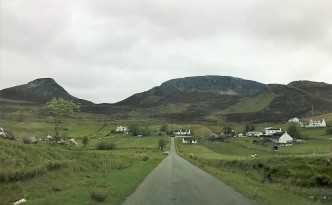 lambs scotland Quiraing isle of skye
