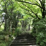 Maruyama Park in Higashiyama Kyoto – a case of Shrine overload