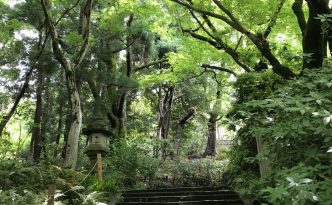 Maruyama Park kyoto Higashiyama