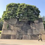 Is the Tokyo Imperial East Gardens worth visiting? 