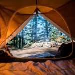 Four reasons to visit Russell Holiday Park in New Zealand with your family