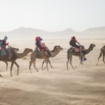 5 important tips to having a successful group vacation to any destination