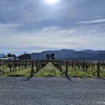 3 reasons to visit the Wairau River Wines Cellar Door & Restaurant in Marlborough