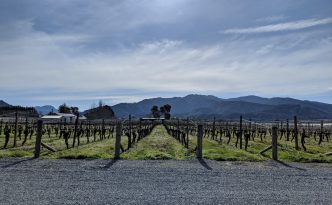 wairau river wines vineyard