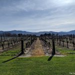 Recommended: Our visit to the Cloudy Bay winery in Marlborough