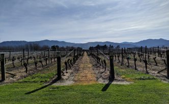 Cloudy Bay winery in Marlborough