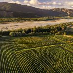Review: The Hans Herzog winery in Marlborough New Zealand