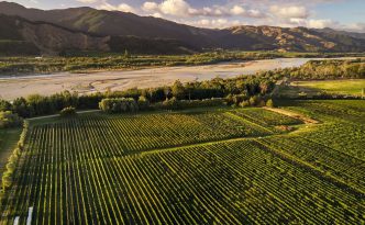 hans herzog vineyard marlborough