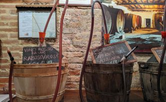 tasting El Vin Del Paron wine venice