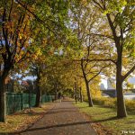 Recommended: A running route along Charles River Esplanade in Boston